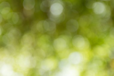  Bulanık sarı ışık dairesel bokeh soyut Noel bac için