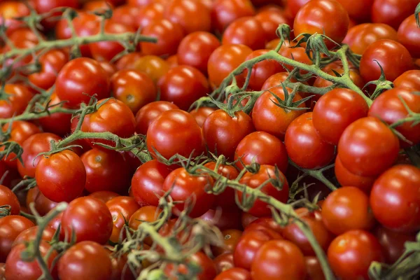 Tomates rouges fraîches — Photo