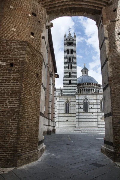 Katedrála v Sieně — Stock fotografie