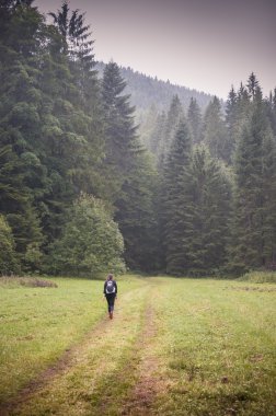 sabah sis yeşil orman