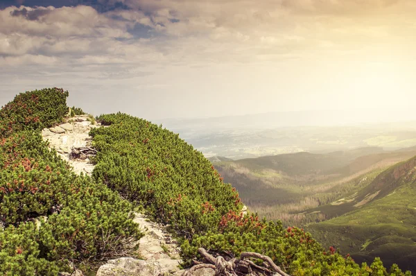 Paysage de montagne coucher ou lever du soleil — Photo