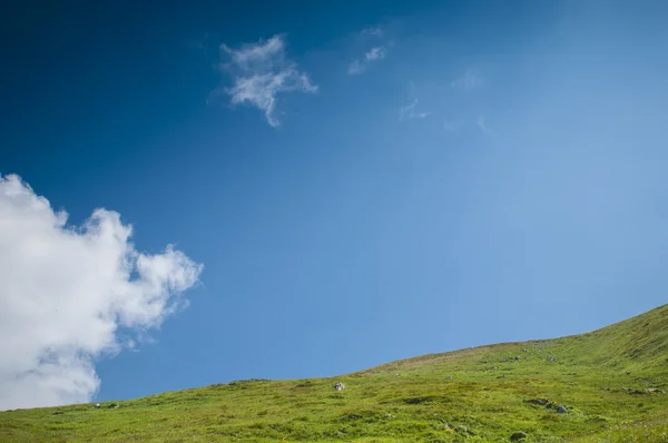 Le pré vert et le ciel bleu — Photo