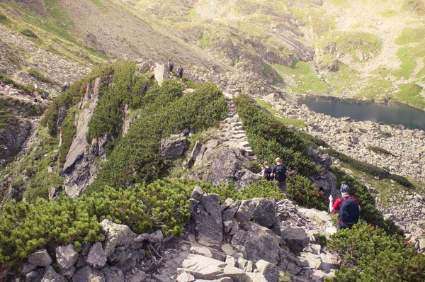 Paysage de montagne et touristes de randonnée — Photo