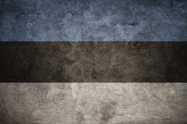 爱沙尼亚国旗在墙上 — 图库照片