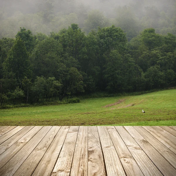 Terrazza in legno e vista prospettica su bosco e prato nella nebbia — Foto Stock