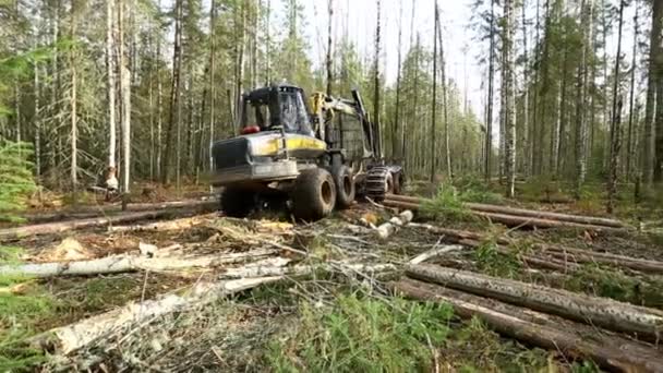 Skogsbruk. Visa för logger rör sig genom skogen — Stockvideo