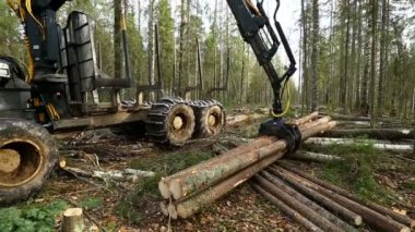 Günlükleri yüklemek günlükçüsü mekanik kol üzerinde göster