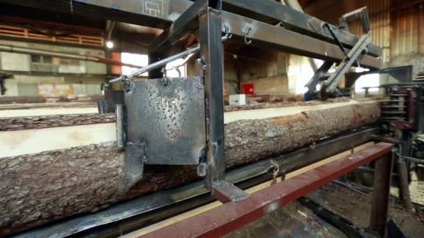 Baumstämme sägen. Blick auf die Maschine in der Holzwerkstatt — Stockvideo