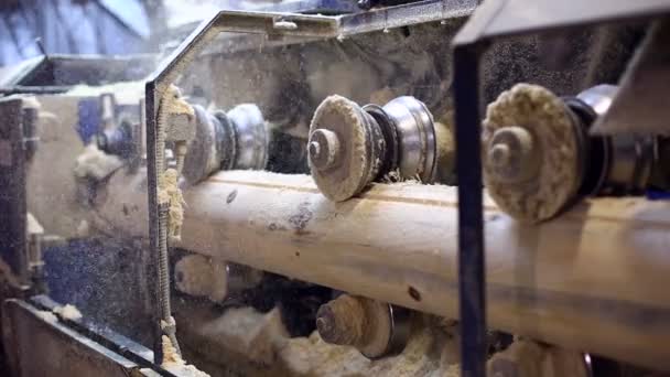 Sawmill. Work process in milling machine — Stock Video