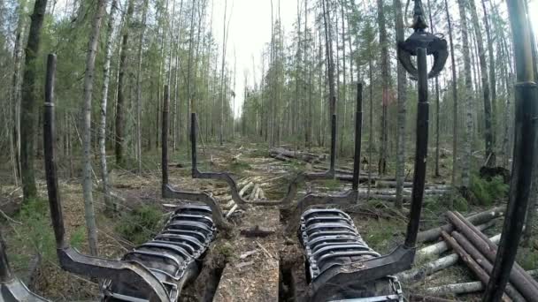 Bosbouw. Uitzicht vanaf de kant van de logger bij het laden van Logboeken — Stockvideo