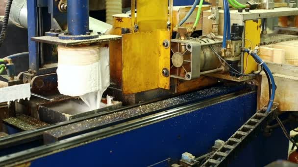 Tartak. Nowoczesne maszyny do produkcji drewna klejonego — Wideo stockowe