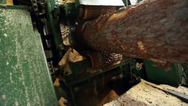 Vue rapprochée du rondin de sciage sur la machine — Video