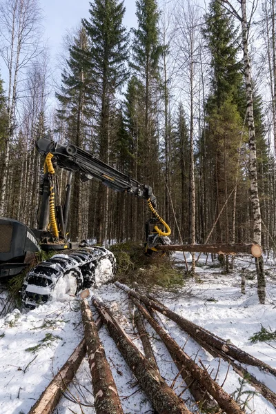 Log loader cutting tree in winter forest — Stock Photo, Image