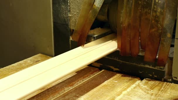 Un taller de carpintería. Vista de tableros en el transportador — Vídeos de Stock