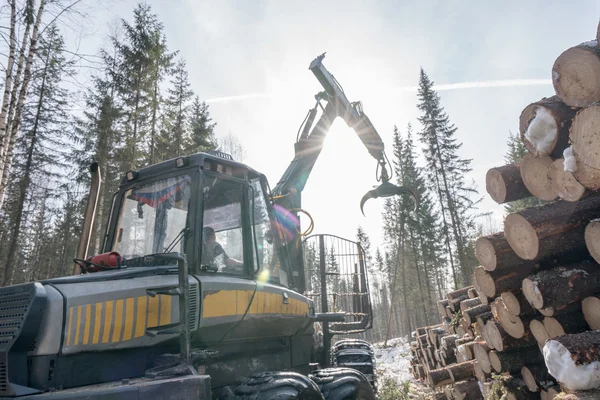 Forstwirtschaft. Bild des Holzfällers bei der Arbeit im Winterwald — Stockfoto