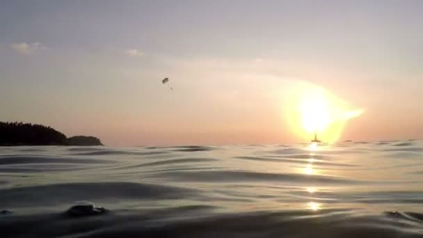 Vista desde el mar en paracaidista deslizándose durante el amanecer — Vídeo de stock