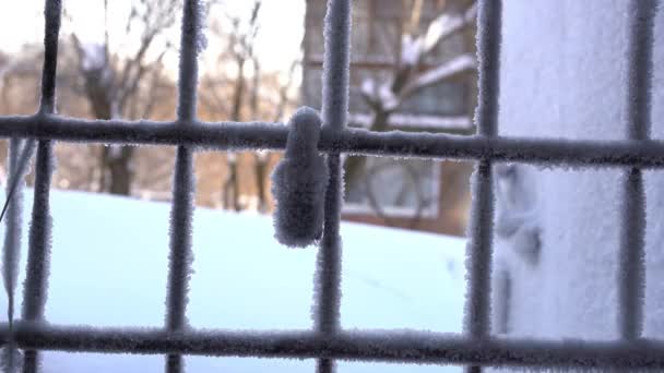 Πόρτα λαβή καλύπτονται με παγώνει παγωμένες νιφάδες χιονιού - άγνωστος άνθρωπος έρχεται — Αρχείο Βίντεο