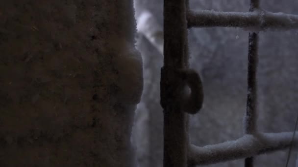Klamka drzwi pokryta jest zamarzniętymi płatkami śniegu - nadchodzi nieznany człowiek — Wideo stockowe