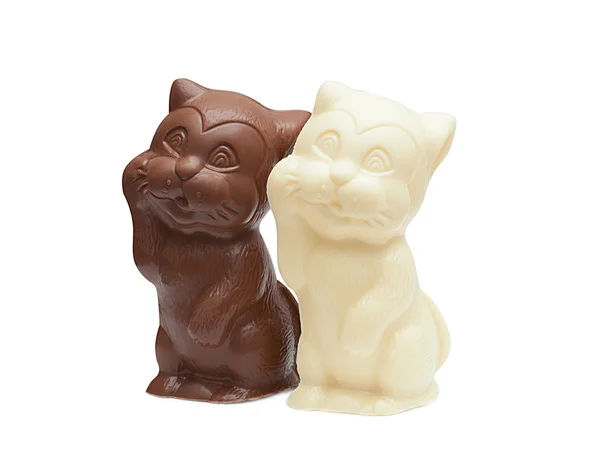 Image of delicious chocolate cats, close-up — Stock Photo, Image