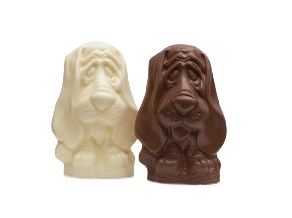 Imagem de dois bonecos de chocolate Basset Hound — Fotografia de Stock