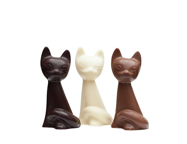 Sevimli kediler farklı çikolata yapılır — Stok fotoğraf