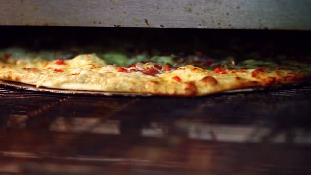 View of delicious pizza baking in oven — Stock Video