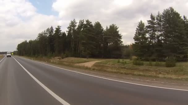 Boszicht vanuit venster van rijdende auto — Stockvideo