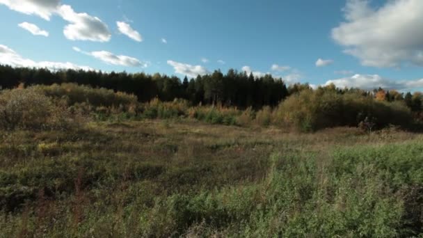 Día despejado en la aldea - vista del bosque y el prado — Vídeo de stock