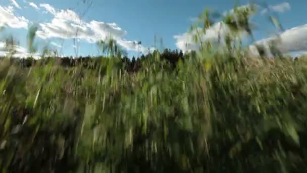 Vue du paysage paisible à la campagne 