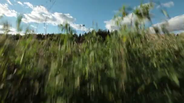 Vue du paysage paisible à la campagne — Video