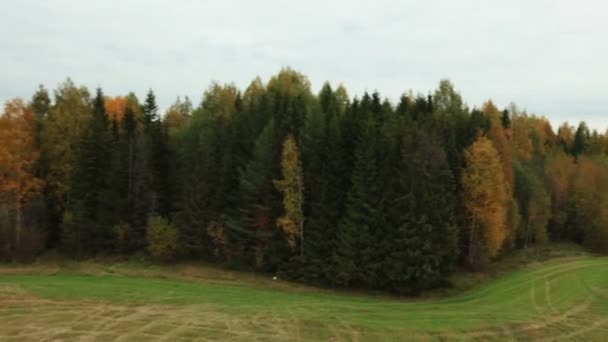 Vue de dessus de prairie en pente dans les bois 