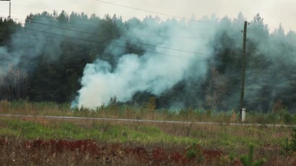 Вид на сжигание леса в сельской местности — стоковое видео