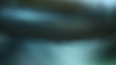 Islak Boru Sanayi dükkanında görünümünü