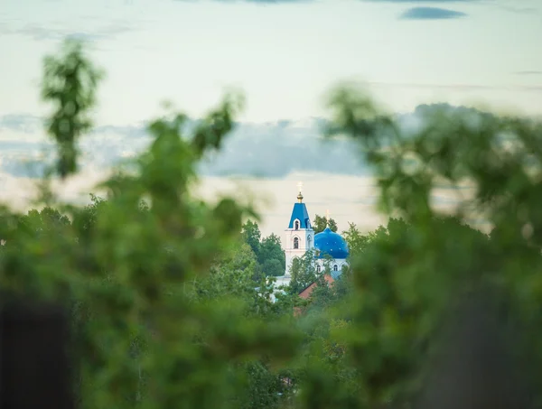 Cúpulas de iglesia ortodoxa vistas a través de árboles — Foto de Stock