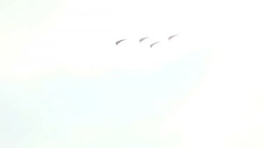 kadrosu savaşçı Jet fly satırda