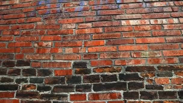 Pan de pared de ladrillo viejo a los árboles y el cielo — Vídeos de Stock