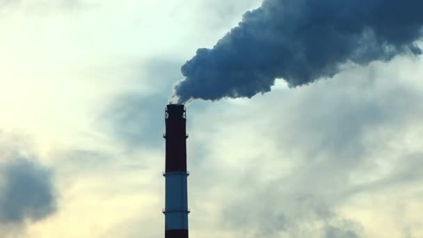 Pipe vista de cerca con humo en el cielo — Vídeos de Stock