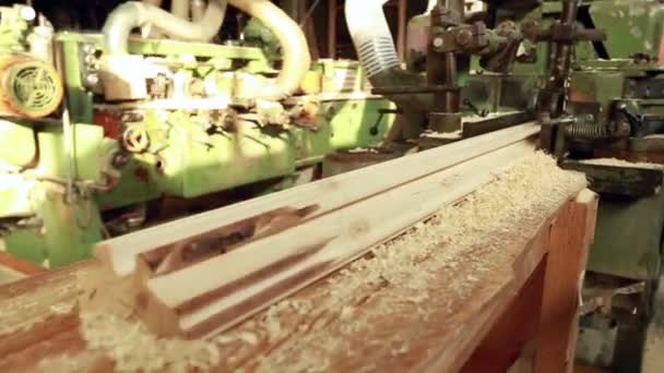 Manufacturing of profile timber at sawmill — Stock Video