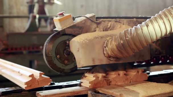 Production de bois profilé sur machine automatisée — Video