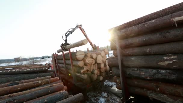 Widzenia pracownika za pomocą żurawia zwalnia logi z ciężarówki — Wideo stockowe