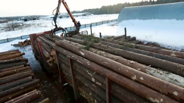 Вид розвантажувальних колод на лісопильні взимку — стокове відео