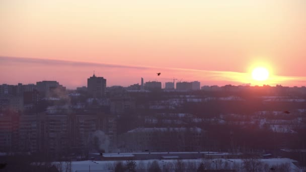 Hermosa vista del paisaje urbano y las aves vuelan al amanecer — Vídeos de Stock