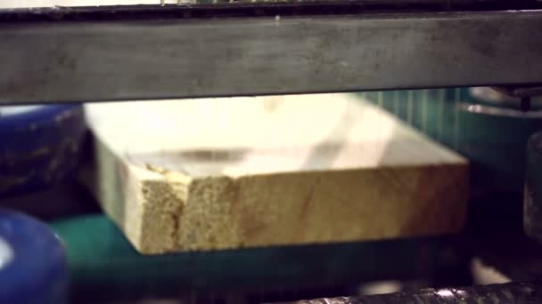 Nahaufnahme von Klebstoff, der auf Holz aufgetragen wird — Stockvideo