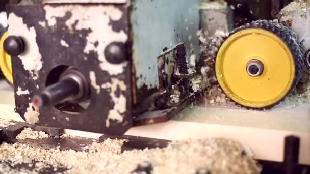 Carpintaria. Madeira transformada em plaina de espessura — Vídeo de Stock