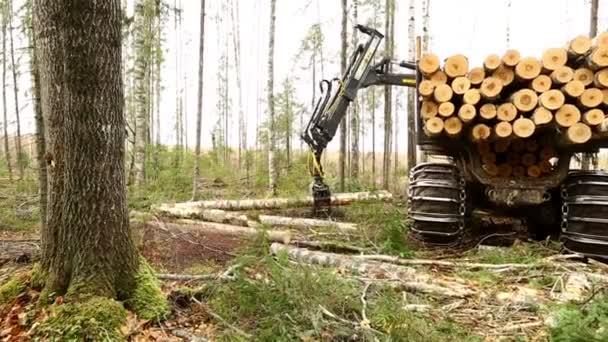 Máquina com braço robótico levanta troncos na floresta — Vídeo de Stock