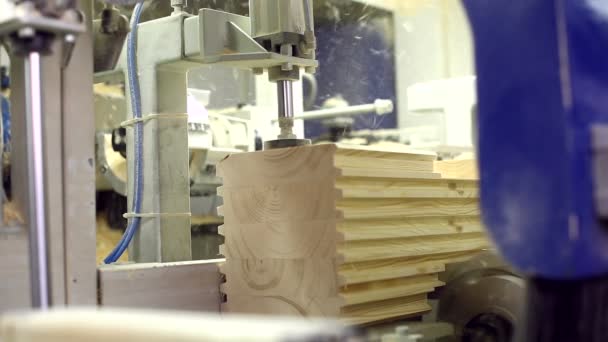 Máquina de aserrado de madera conformada — Vídeo de stock