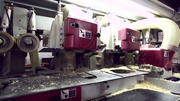 Blick auf Arbeiter, der Sägemehl aus Maschine pustet — Stockvideo