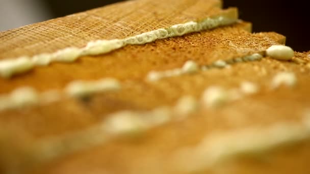 View of wood surface with glue, close-up — Stock Video