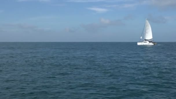 View of sailing yacht with white sail in sea — Stock Video