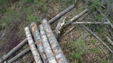 Logger günlükleri yükler. Eylem fotoğraf makinesi ile çekilen görünümü